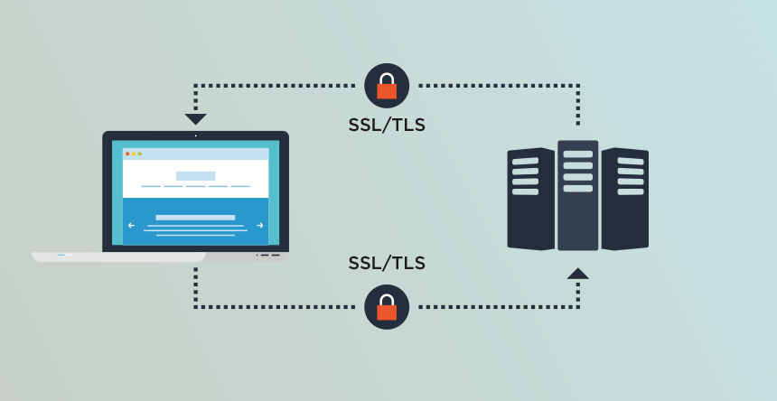 Cac-ket-noi-len-zoom-cloud-service-deu-thuc-hien-thong-qua-giao-thuc-TCP-hoac-TLS